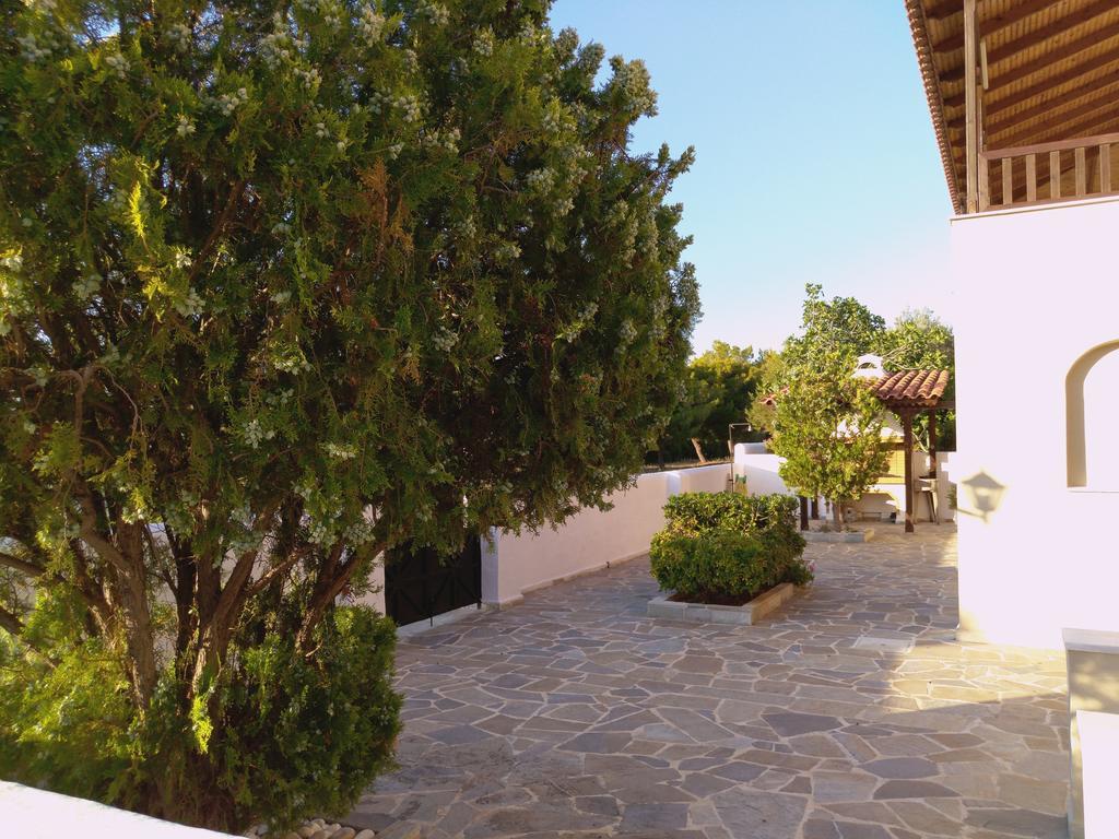 Explore Aegina Island Souvala Luaran gambar